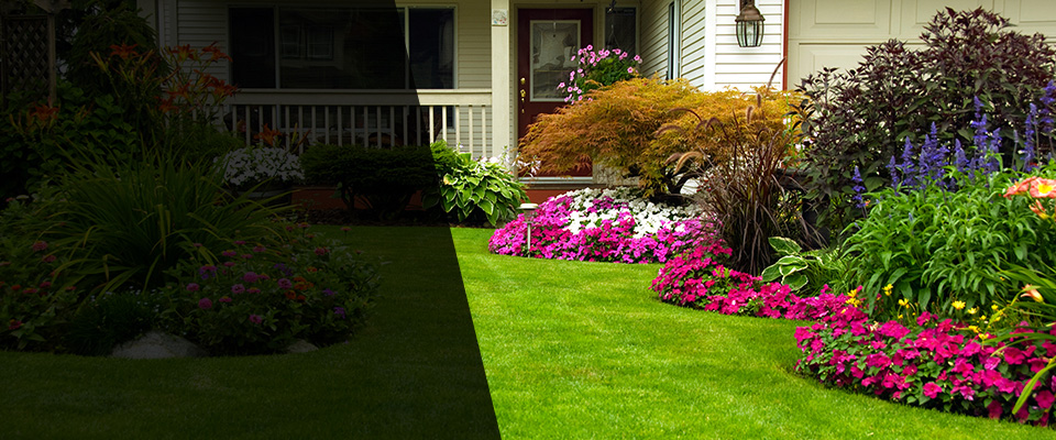 Clover Landscapers